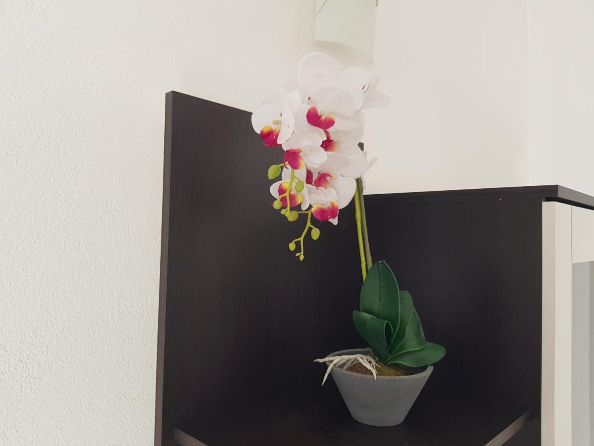 Apartman Mia With Pool1 Split Kültér fotó